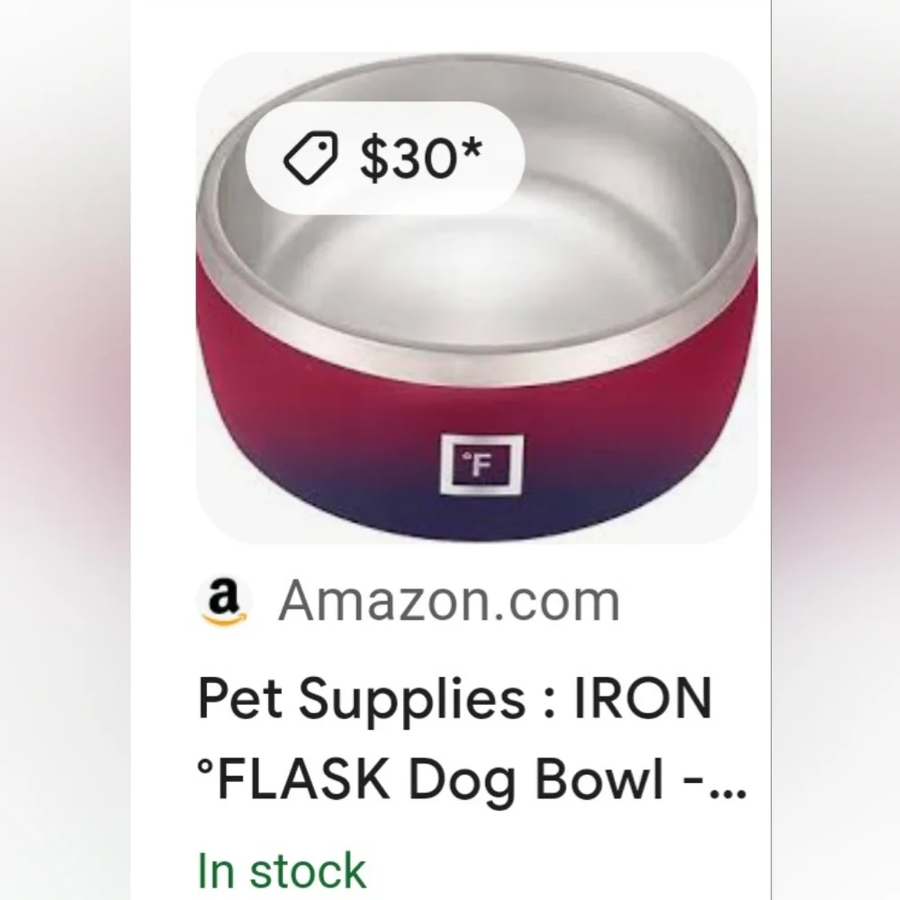 IRON FLASK Dog Bowl - 32 Oz Stainless Steel, Non-Slip Rubber Bottom, New